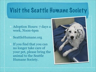 Interview2: Seattle Humane Society