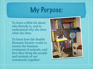 Interview2: Seattle Humane Society