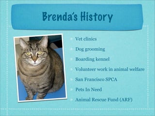 Interview2: Seattle Humane Society