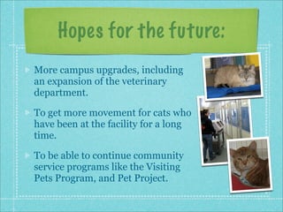 Interview2: Seattle Humane Society