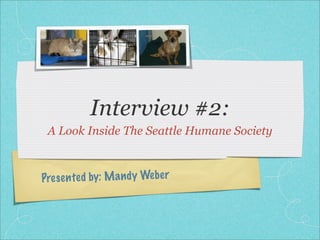 Interview #2:
 A Look Inside The Seattle Humane Society



Pres en te d by: M a n d y Web er
 