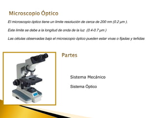 El microscopio óptico tiene un limite resolución de cerca de 200 nm (0.2 µm ).
Este limite se debe a la longitud de onda de la luz (0.4-0.7 µm )
Las células observadas bajo el microscopio óptico pueden estar vivas o fijadas y teñidas
Sistema Mecánico
Sistema Óptico
 