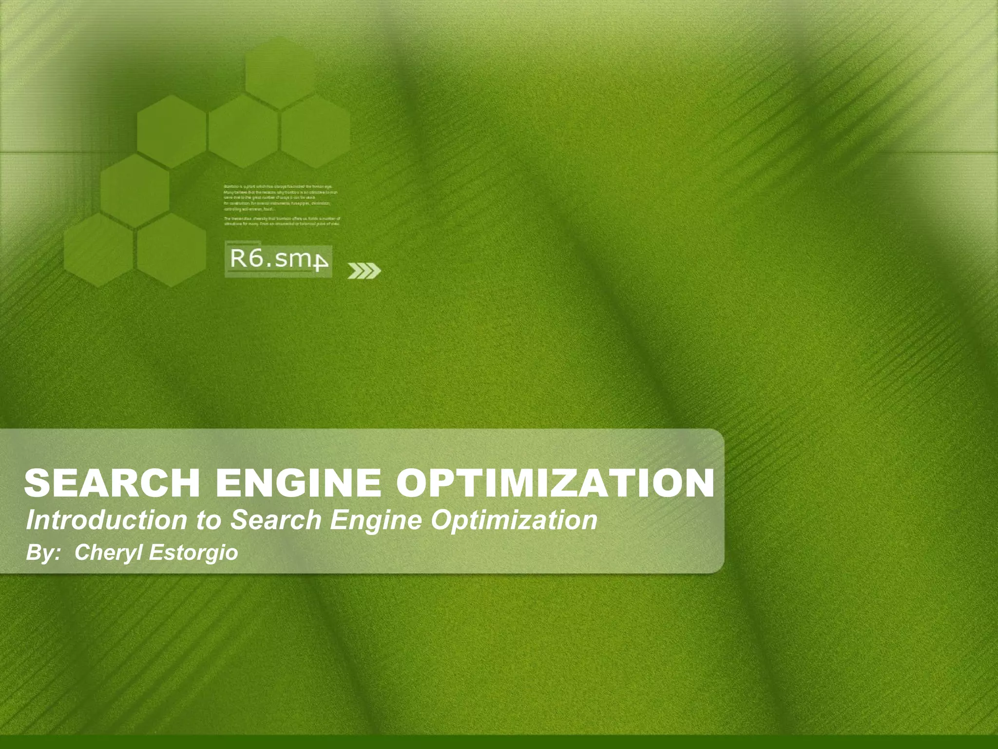 SEARCH ENGINE OPTIMIZATION Introduction to Search Engine Optimization By:  Cheryl Estorgio 