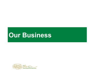 Our Business 