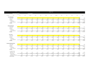 Izonit Business Plan