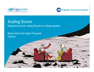 Together. Free your energies




Scaling Scrum
Experience from using Scrum in a large project

Steinar Årdal & Geir Magne Trengereid
18.09.08
 