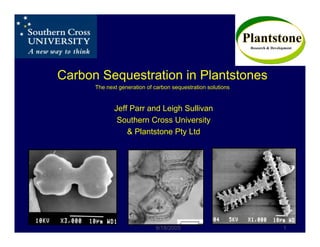 Carbon Sequestration in Plantstones
      The next generation of carbon sequestration solutions


             Jeff Parr and Leigh Sullivan
              Southern Cross University
                 & Plantstone Pty Ltd




                             9/18/2005                        1
 