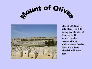 Mount of Olives Mount of Olives is holy place, is a hill facing the old city of Jerusalem. It located on the eastern side of Kidron creek. In the Jewish tradition Messiah will come here.  