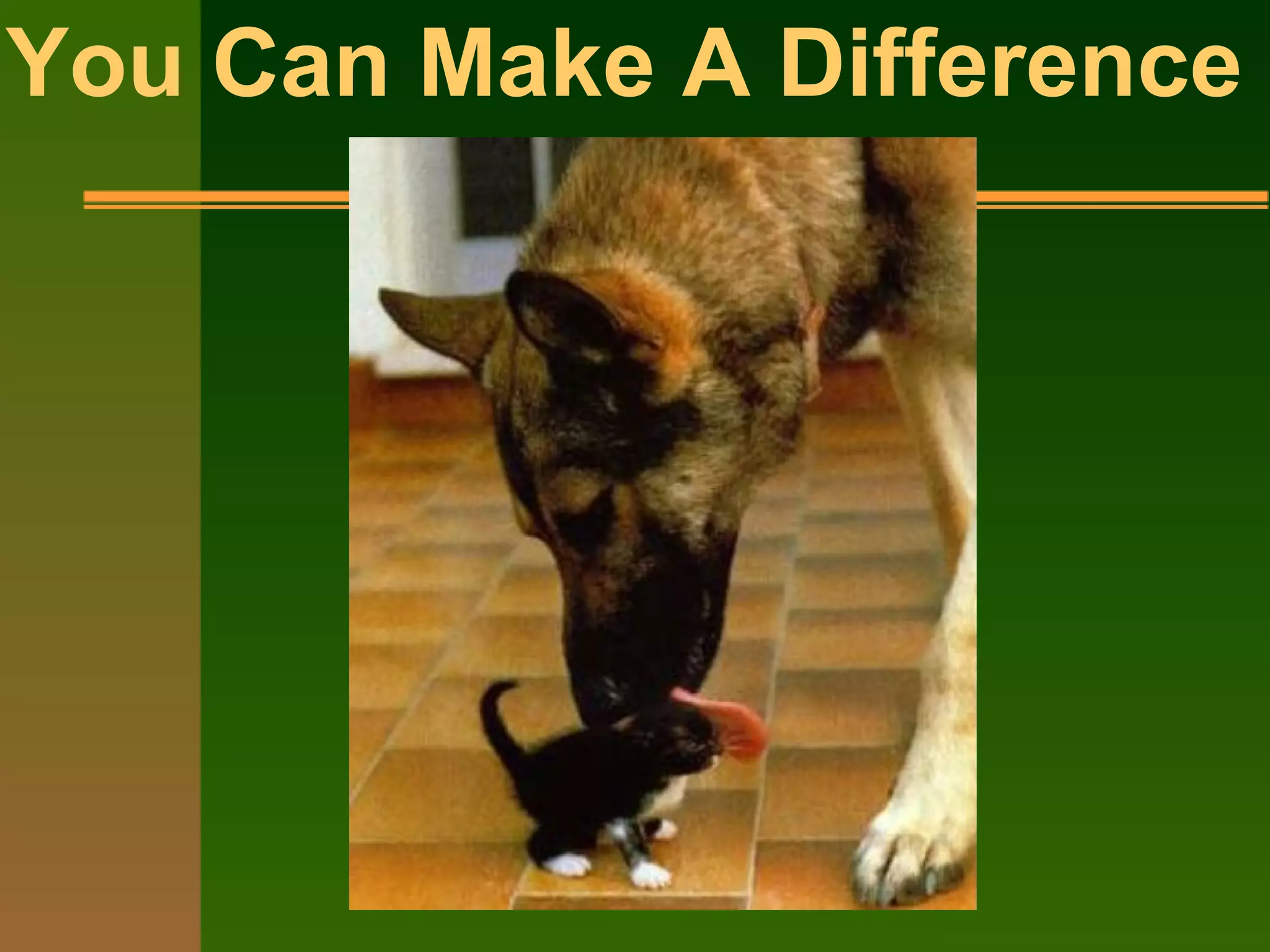 You Can Make A Difference
 