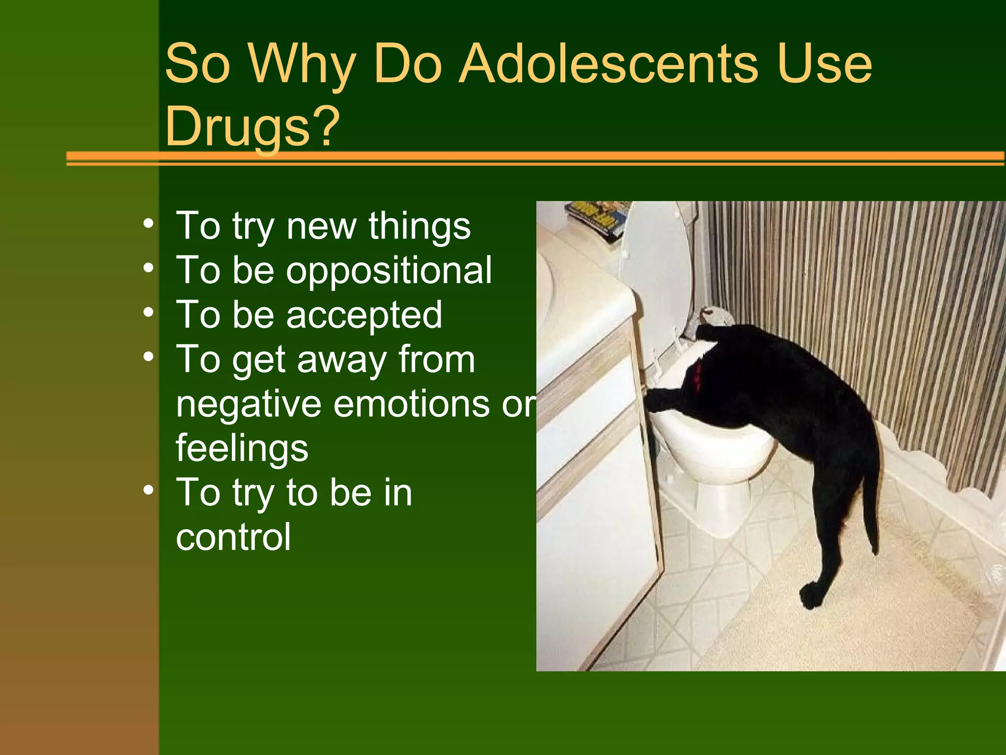 So Why Do Adolescents Use
Drugs?
• To try new things
• To be oppositional
• To be accepted
• To get away from
negative emotions or
feelings
• To try to be in
control
 