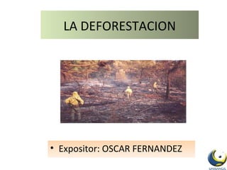 LA DEFORESTACION ,[object Object]