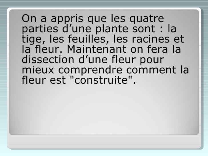 La Dissecton Dune Fleur