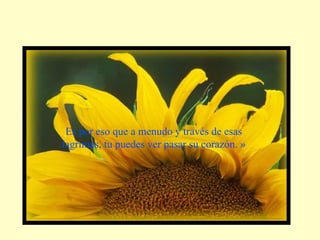 Es por eso que a menudo y través de esas lagrimas, tu puedes ver pasar su corazón. » 