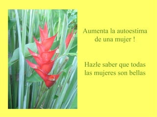 Aumenta la autoestima de una mujer ! Hazle saber que todas las mujeres son bellas 