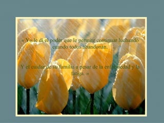 « Yo le dí el poder que le permite continuar luchando cuando todos abandonan. Y el cuidar de su familia a pesar de la enfermedad y la fatiga. » 