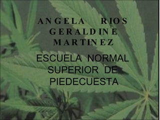 ANGELA  RIOS GERALDINE MARTINEZ ESCUELA  NORMAL  SUPERIOR  DE  PIEDECUESTA 