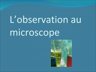 L’observation au   microscope 