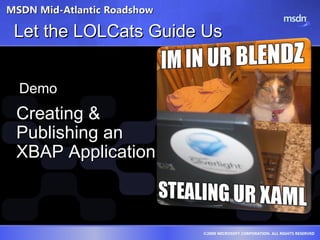 Let the LOLCats Guide Us Creating & Publishing an XBAP Application 