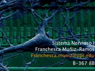 Sistema Nervioso I Franchesca Muñiz-Ramos [email_address] B-367 8B 