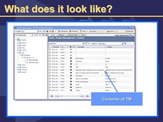 What does it look like?
Contents of TM
 