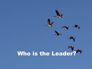 Who is the Leader? 
