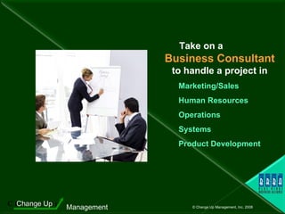 Take on a  Business Consultant  to handle a project in Marketing/Sales Human Resources Operations Systems Product Development 