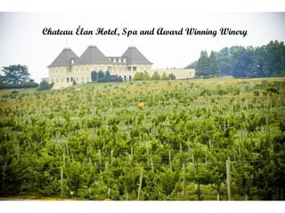 Chateau Élan Hotel, Spa and Award Winning Winery 