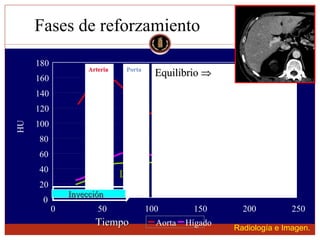 Lesion focal hepatica