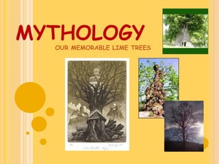 MYTHOLOGY   OUR MEMORABLE LIME TREES 