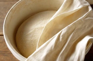 Stephen Hamilton Portfolio