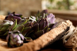 Stephen Hamilton Portfolio