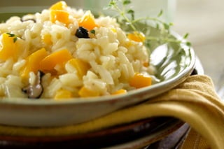 Stephen Hamilton Portfolio