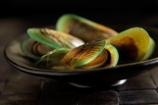 Stephen Hamilton Portfolio