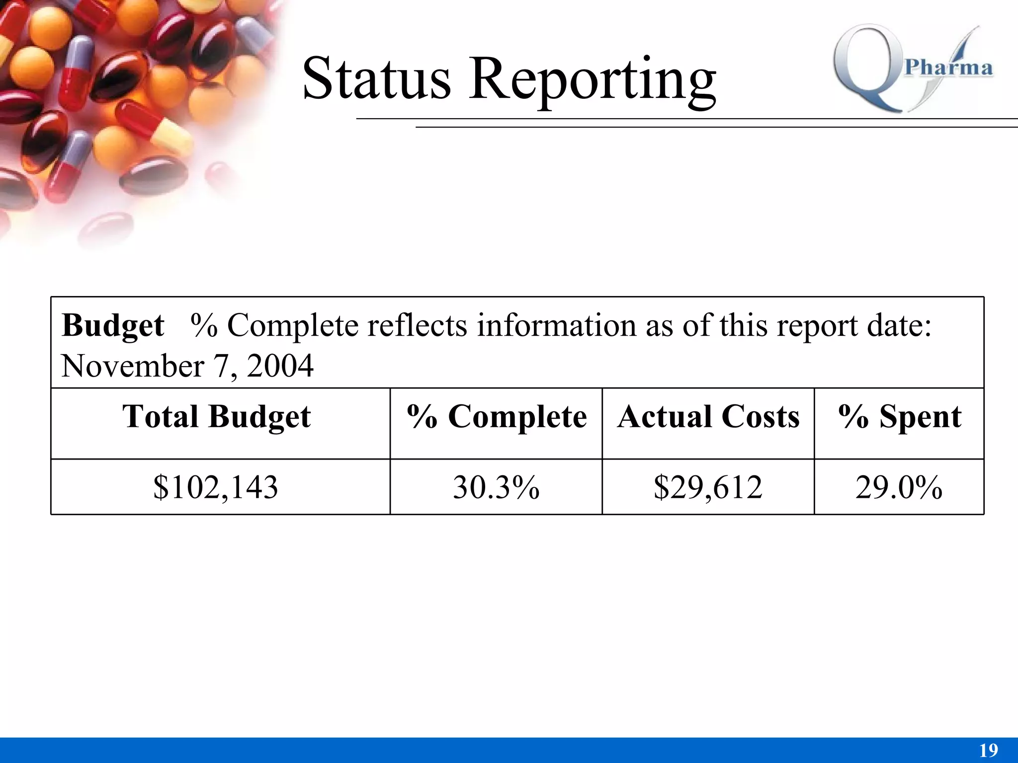 Status Reporting 29.0% $29,612 30.3% $102,143  % Spent Actual Costs  % Complete Total Budget  Budget  % Complete reflects information as of this report date:   November 7, 2004 