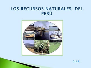 LOS RECURSOS NATURALES  DEL PERÚ G.S.P. 