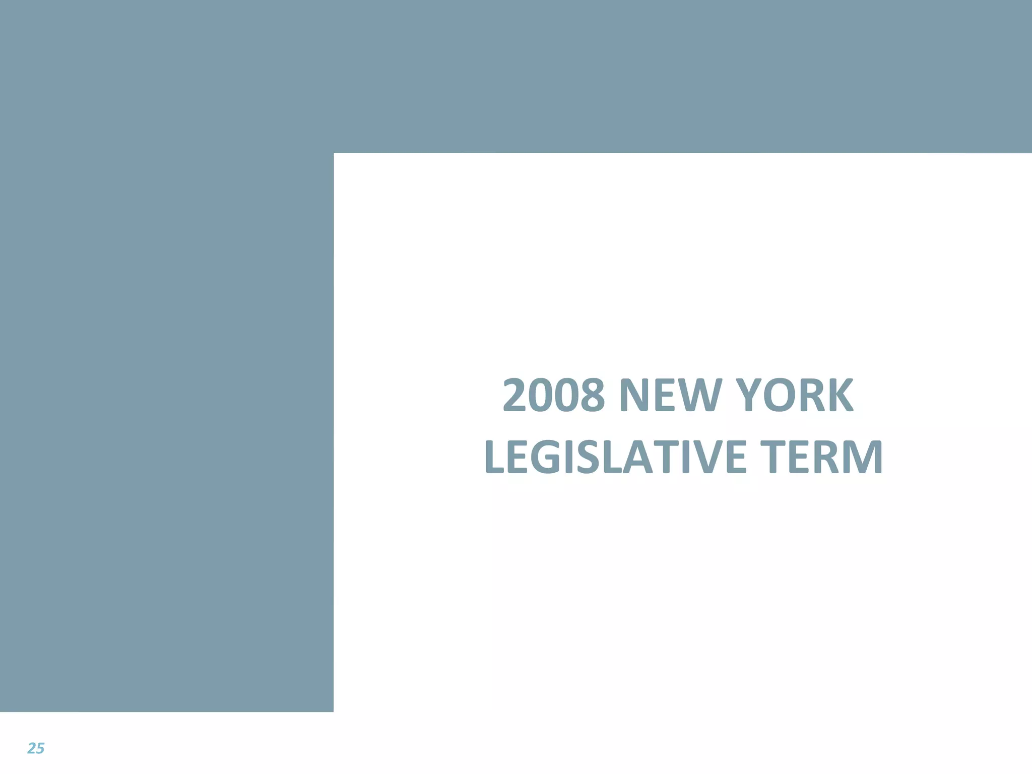 2008 NEW YORK  LEGISLATIVE TERM 