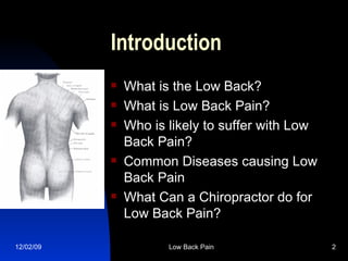 Introduction What is the Low Back? What is Low Back Pain? Who is likely to suffer with Low Back Pain? Common Diseases causing Low Back Pain What Can a Chiropractor do for Low Back Pain? 
