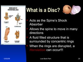 What is a Disc?  Acts as the Spine’s Shock Absorber Allows the spine to move in many directions  A fluid filled structure that is surrounded by concentric rings  When the rings are disrupted, a  Herniation  can occur!!! 