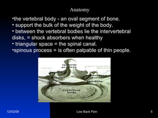 the vertebral body - an oval segment of bone.   support the bulk of the weight of the body.   between the vertebral bodies lie the intervertebral disks, = shock absorbers when healthy  triangular space = the spinal canal.   spinous process = is often palpable of thin people.   Anatomy 