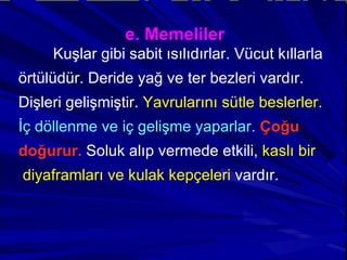 e. Memeliler Kuşlar gibi sabit ısılıdırlar. Vücut kıllarla örtülüdür. Deride yağ ve ter bezleri vardır.  Dişleri gelişmiştir.  Yavrularını sütle beslerler.   İç döllenme ve iç gelişme yaparlar.   Çoğu  doğurur.  Soluk alıp vermede etkili,  kaslı bir diyaframları ve kulak kepçeleri  vardır. 