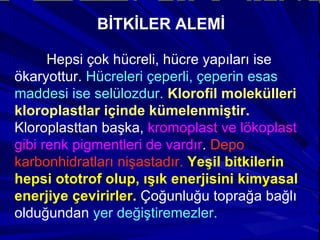 BİTKİLER ALEMİ Hepsi çok hücreli, hücre yapıları ise ökaryottur.  Hücreleri çeperli, çeperin esas maddesi ise selülozdur.   Klorofil molekülleri kloroplastlar içinde kümelenmiştir.  Kloroplasttan başka,  kromoplast ve lökoplast gibi renk pigmentleri de vardır .  Depo karbonhidratları nişastadır.   Yeşil bitkilerin hepsi ototrof olup, ışık enerjisini kimyasal enerjiye çevirirler.  Çoğunluğu toprağa bağlı olduğundan  yer değiştiremezler.   