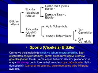 Sporlu (Çiçeksiz) Bitkiler Üreme ve gelişmelerinde  çiçek ve tohum oluşturamazlar .  Spor oluşturarak eşeysiz üremeyi, gamet oluşturarak eşeyli üremeyi gerçekleştirirler . Bu iki üreme çeşidi birbirinin devamı şeklindedir ve olaya  döl almaşı  denir. Üreme bakımından  suya bağımlıdırlar . İletim demetlerinin  (damarların) bulunup, bulunmamasına göre iki gruba  ayrılırlar. 