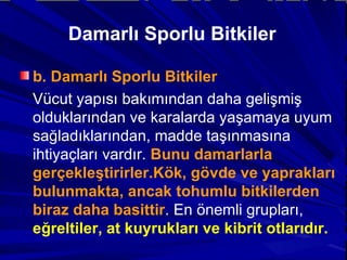 Damarlı Sporlu Bitkiler b. Damarlı Sporlu Bitkiler Vücut yapısı bakımından daha gelişmiş olduklarından ve karalarda yaşamaya uyum sağladıklarından, madde taşınmasına ihtiyaçları vardır.  Bunu damarlarla gerçekleştirirler.Kök, gövde ve yaprakları bulunmakta, ancak tohumlu bitkilerden biraz daha basittir . En önemli grupları,  eğreltiler, at kuyrukları ve kibrit otlarıdır. 