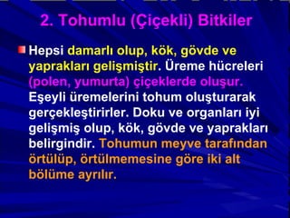 2. Tohumlu (Çiçekli) Bitkiler Hepsi  damarlı olup, kök, gövde ve yaprakları gelişmiştir . Üreme hücreleri  (polen, yumurta)   çiçeklerde oluşur.  Eşeyli üremelerini tohum oluşturarak gerçekleştirirler. Doku ve organları iyi gelişmiş olup, kök, gövde ve yaprakları belirgindir.  Tohumun meyve tarafından örtülüp, örtülmemesine göre iki alt bölüme ayrılır. 