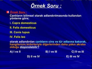 Örnek Soru : Canlıların bilimsel olarak adlandırılmasında kullanılan yönteme göre; I . Capra domesticus II. Felis domesticus III. Canis lupus IV. Felis leo olarak adlandırılan  canlıların cins ve tür adlarına bakarak,   hangilerinin birbirleriyle diğerlerinden daha yakın akraba olduğu   düşünülebilir? A) I ve II                B) I ve III                C) II ve III               D) II ve IV                E) III ve IV Örnek Soru : 