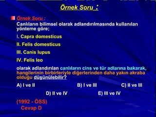 Örnek Soru  : Örnek Soru : Canlıların bilimsel olarak adlandırılmasında kullanılan yönteme göre; I . Capra domesticus II. Felis domesticus III. Canis lupus IV. Felis leo olarak adlandırılan  canlıların cins ve tür adlarına bakarak,   hangilerinin birbirleriyle diğerlerinden daha yakın akraba olduğu   düşünülebilir? A) I ve II                B) I ve III                C) II ve III               D) II ve IV              E) III ve IV (1992 - ÖSS)   Cevap D 