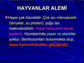 Hepsi çok hücrelidir.  Çok azı mikroskobik (tenyalar, su pireleri),  çoğu ise  makroskobiktir.  Hepsi heterotrof olarak  beslenir.  Hücrelerinde  çeper ve plastitler   yoktur. Sentrozomları bulunmakta olup,  depo karbonhidratları  glikojendir. HAYVANLAR ALEMİ 
