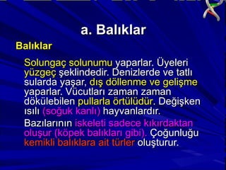 Balıklar Solungaç solunumu  yaparlar. Üyeleri  yüzgeç  şeklindedir. Denizlerde ve tatlı sularda yaşar,  dış döllenme ve gelişme  yaparlar. Vücutları zaman zaman dökülebilen  pullarla örtülüdür . Değişken ısılı  (soğuk kanlı)  hayvanlardır.  Bazılarının  iskeleti sadece kıkırdaktan oluşur (köpek balıkları gibi).  Çoğunluğu  kemikli balıklara ait türler  oluşturur. a. Balıklar 