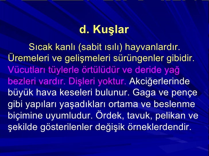 Sıcak kanlı hayvanlar ... Sıcak kanlı hayvan örnekleri Sıcak kanlı hayvanlar ... Sıcak kanlı hayvan örnekleri
