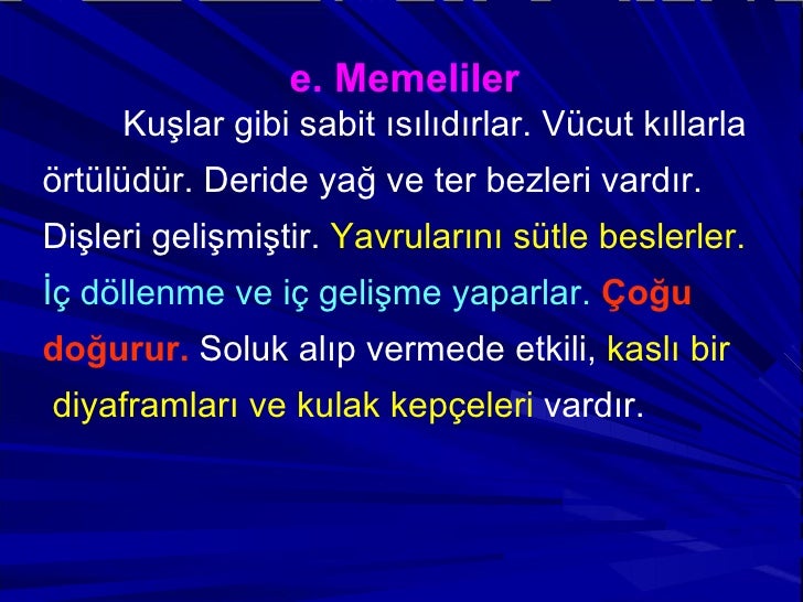 Sıcak kanlı hayvanlar ... Sıcak kanlı hayvan örnekleri Sıcak kanlı hayvanlar ... Sıcak kanlı hayvan örnekleri